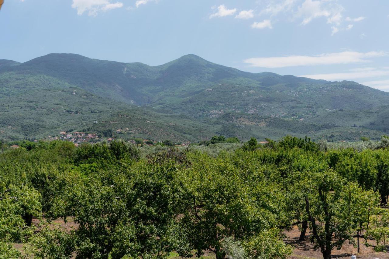 Villa Karavos Grove Káto Lekhónia Exterior foto